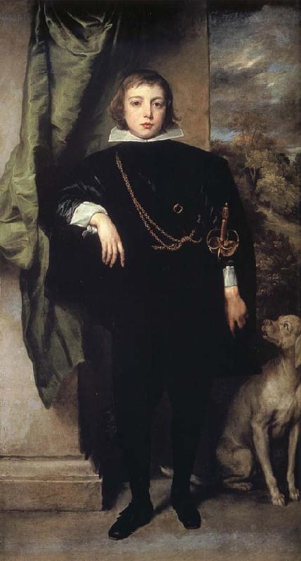 Anthony Van Dyck Prince Rupert of the Palatinate oil painting picture